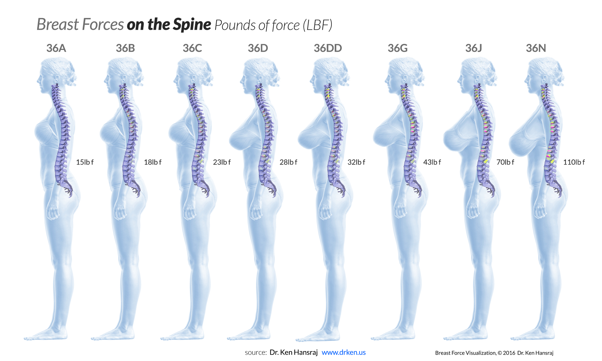 new-study-reveals-increasing-one-cup-size-adds-nearly-10-pound-strain-on-the-spine